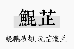 鲲芷名字的寓意及含义