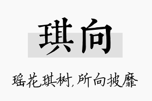 琪向名字的寓意及含义