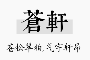 苍轩名字的寓意及含义