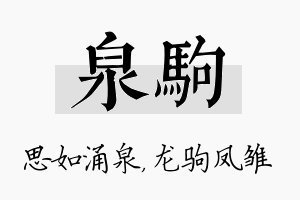 泉驹名字的寓意及含义