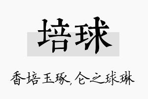 培球名字的寓意及含义