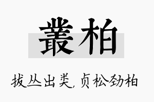 丛柏名字的寓意及含义