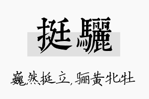 挺骊名字的寓意及含义