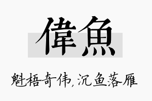 伟鱼名字的寓意及含义