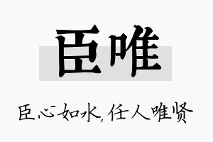 臣唯名字的寓意及含义