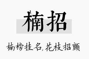 楠招名字的寓意及含义