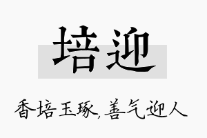 培迎名字的寓意及含义