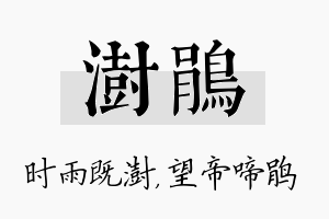 澍鹃名字的寓意及含义