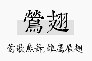 莺翅名字的寓意及含义