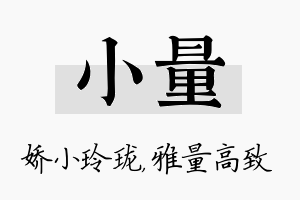 小量名字的寓意及含义