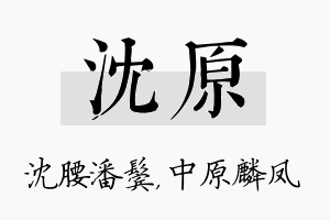 沈原名字的寓意及含义