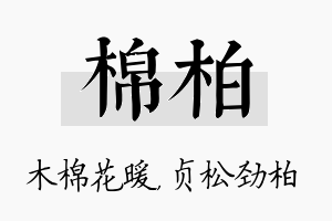 棉柏名字的寓意及含义