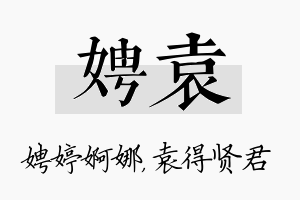 娉袁名字的寓意及含义