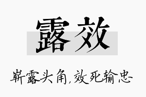 露效名字的寓意及含义