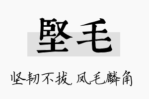 坚毛名字的寓意及含义