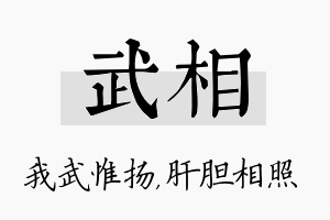 武相名字的寓意及含义