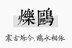 烁鸥名字的寓意及含义