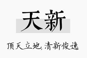 天新名字的寓意及含义