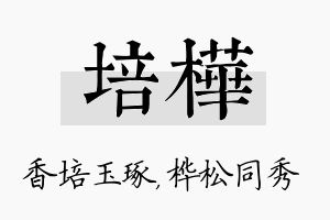 培桦名字的寓意及含义