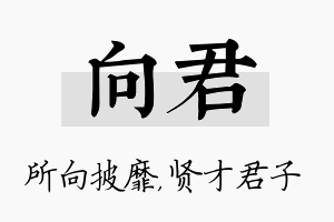 向君名字的寓意及含义