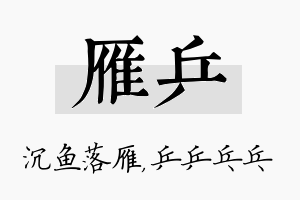 雁乒名字的寓意及含义