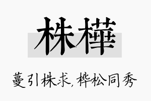 株桦名字的寓意及含义