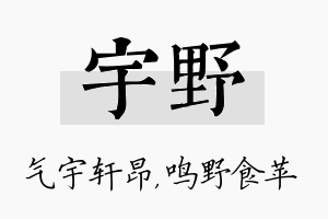 宇野名字的寓意及含义