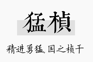 猛桢名字的寓意及含义