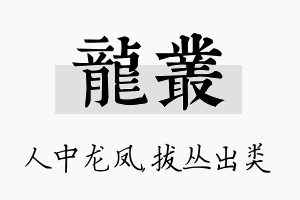 龙丛名字的寓意及含义