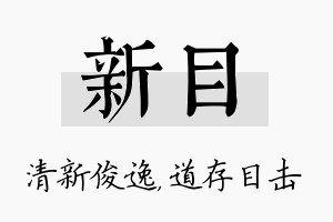 新目名字的寓意及含义