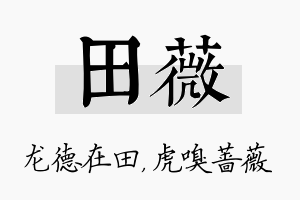 田薇名字的寓意及含义