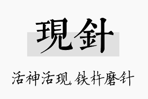 现针名字的寓意及含义