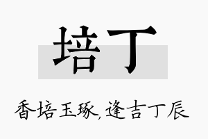 培丁名字的寓意及含义