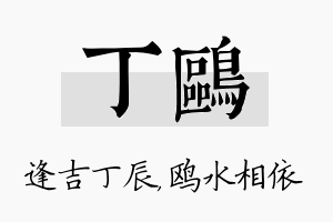 丁鸥名字的寓意及含义