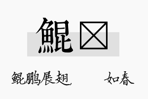 鲲嬿名字的寓意及含义