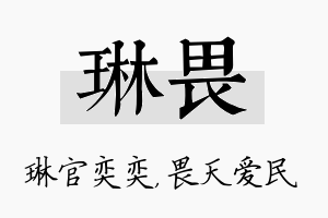 琳畏名字的寓意及含义