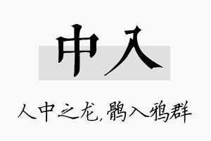 中入名字的寓意及含义