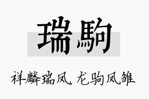 瑞驹名字的寓意及含义