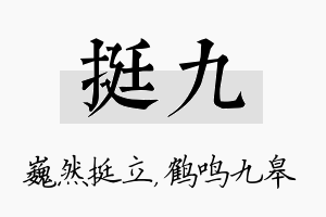 挺九名字的寓意及含义