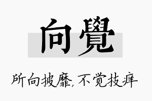 向觉名字的寓意及含义