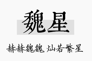 魏星名字的寓意及含义