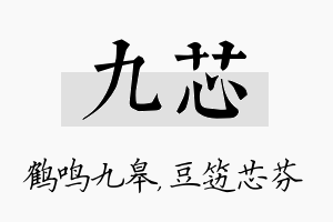 九芯名字的寓意及含义