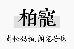 柏宠名字的寓意及含义