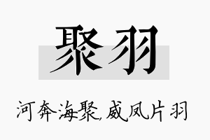 聚羽名字的寓意及含义