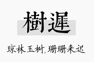 树迟名字的寓意及含义