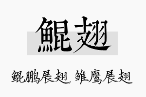 鲲翅名字的寓意及含义