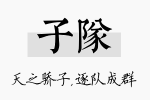 子队名字的寓意及含义