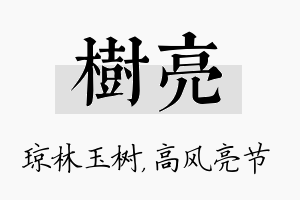 树亮名字的寓意及含义