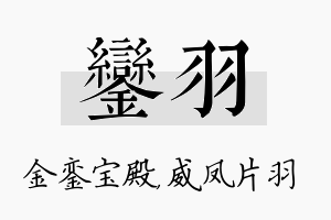 銮羽名字的寓意及含义