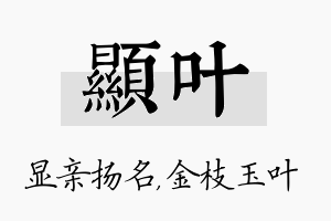 显叶名字的寓意及含义